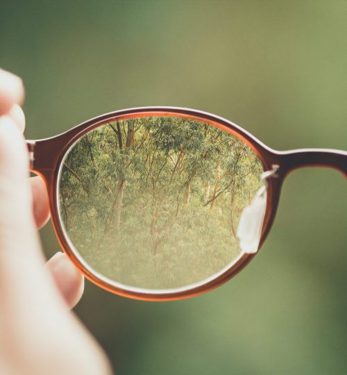 bud-helisson-kqguzgvYrtM-unsplash (1)