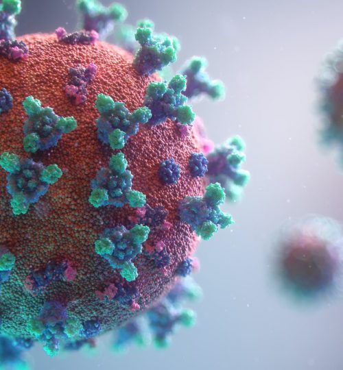 fusion-medical-animation-rnr8D3FNUNY-unsplash (1)